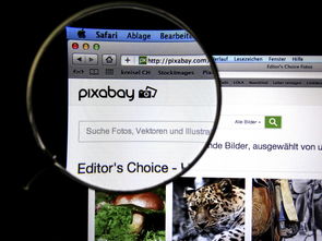 开云电竞登录入口-赛事焦点话题成为粉丝焦点，赛事焦点话题成为粉丝焦点什么意思